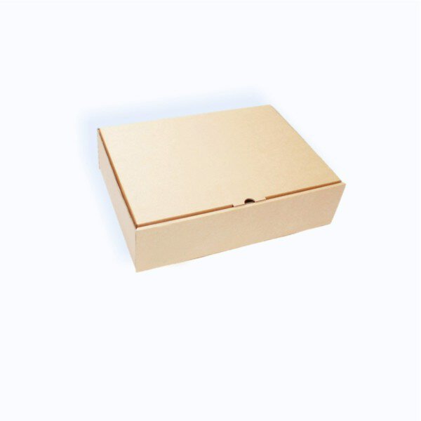 Thùng hộp carton trơn đóng hàng NC04 - 25x17x7 cm